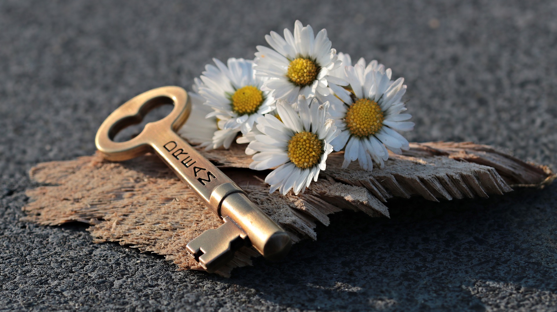 Halom Khalom: Speaking of DREAMs – Hebrew Word Lessons
