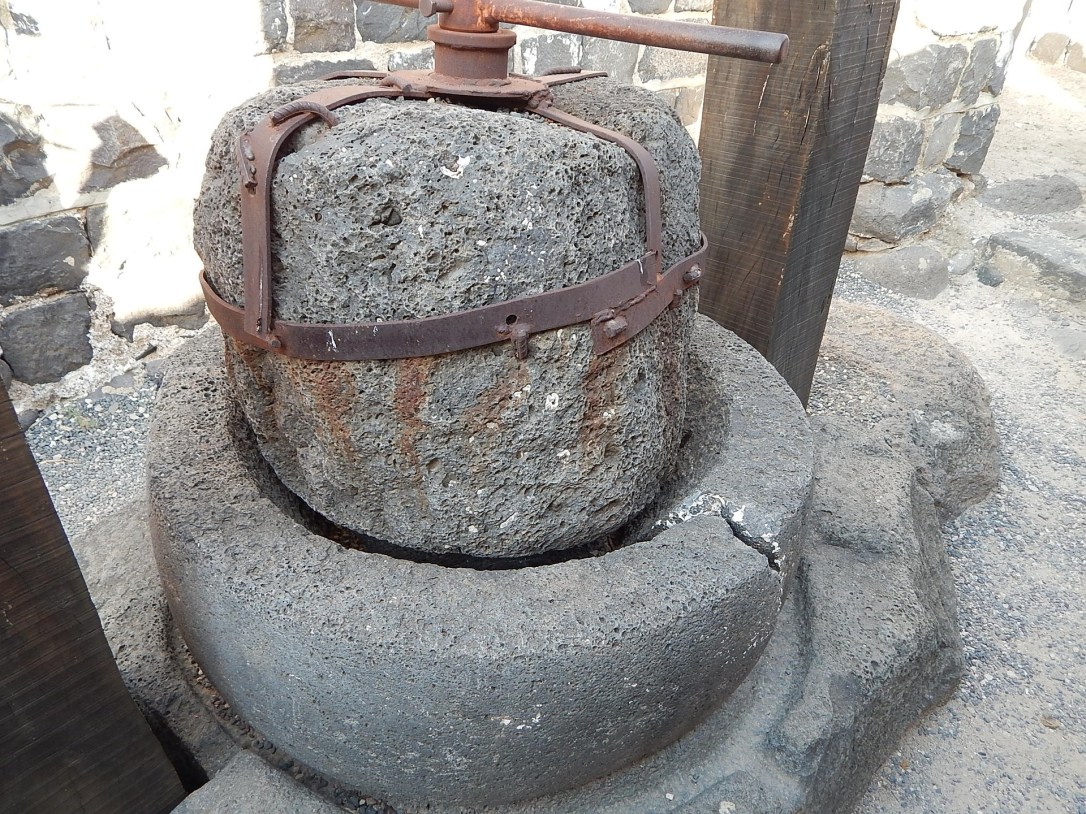 OilPress_Stephanie_Gottschalk_Pixabay