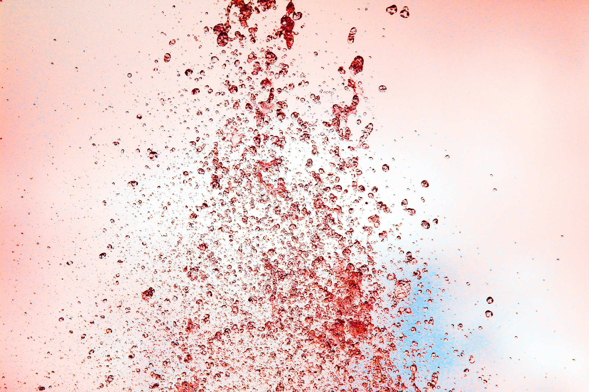 Hizzah: SPRINKLED with Life – Hebrew Word Lessons